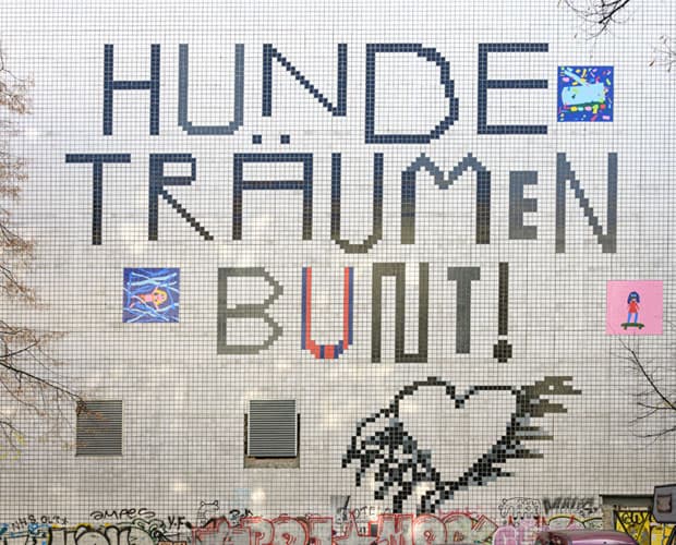 Hunde träumen bunt Streetart