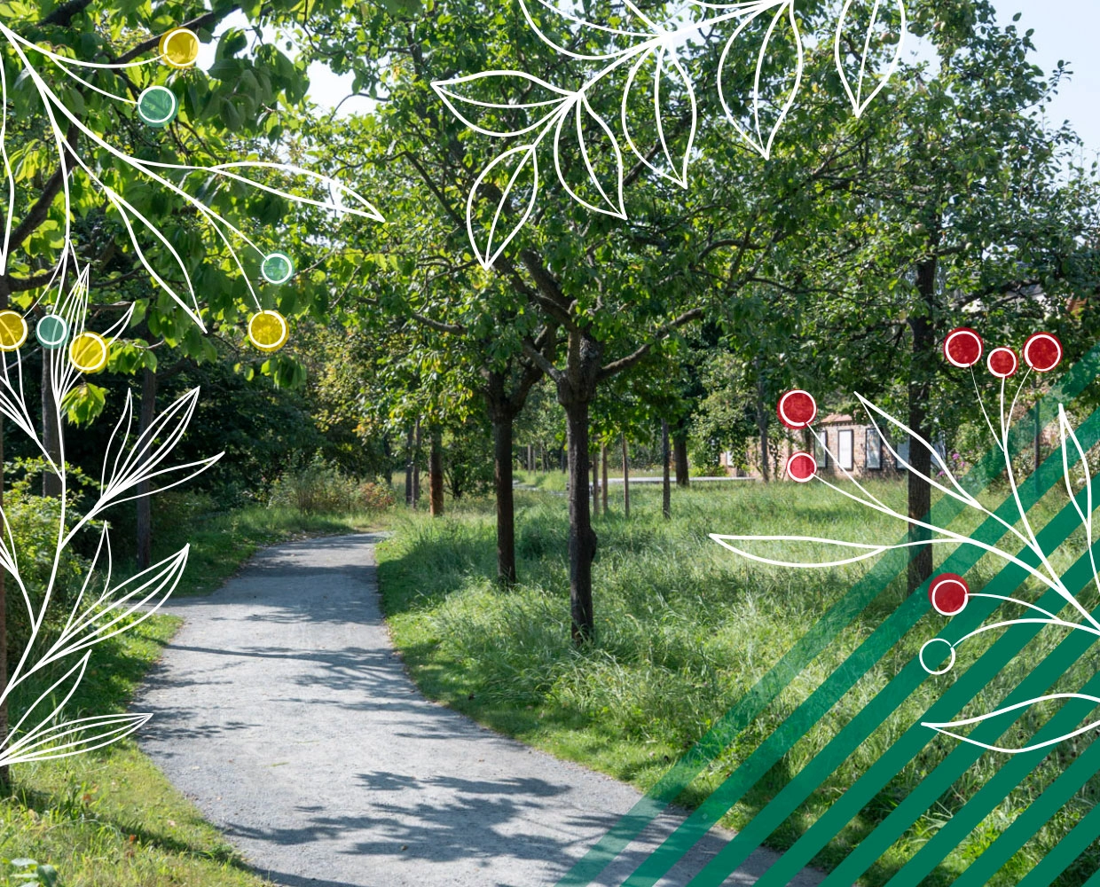 Ein geschwungener Weg führt durch grüne Bäume und hohes Gras im Comenius-Garten, mit dekorativen Blättern, Beeren und Linien über dem Naturmotiv.